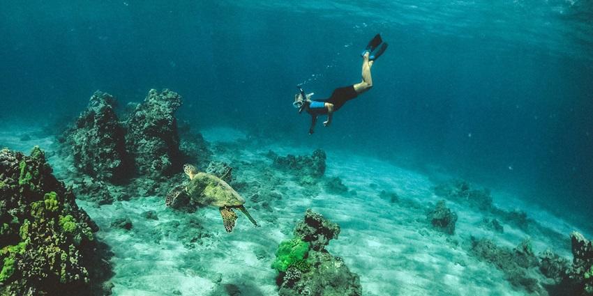 Snorkelling